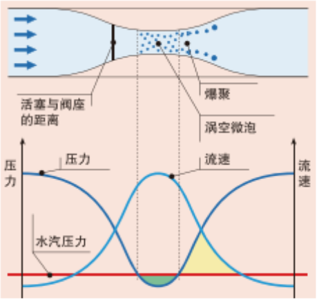 窝空微泡